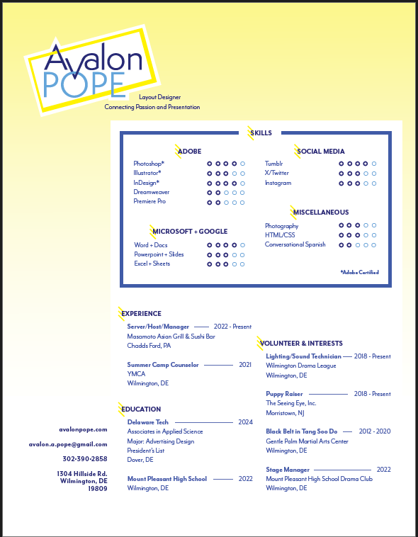 resume preview